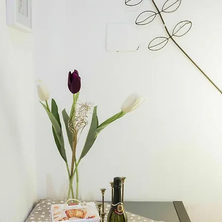 Ground Floor Trastevere * Roma